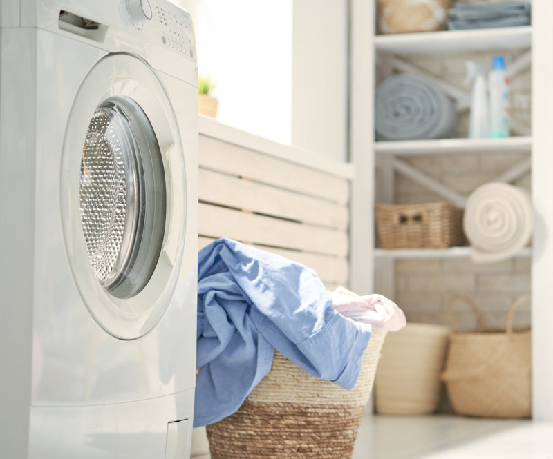 Most efficient shop dryer