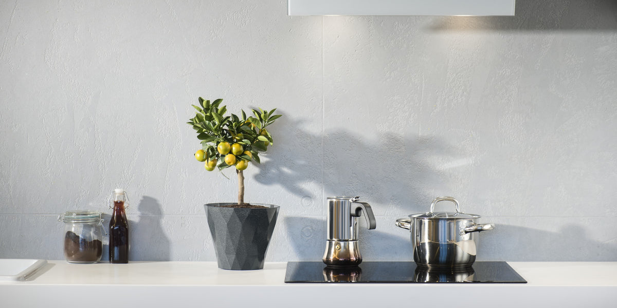 Solid Plate vs Ceramic vs Induction — IRWINS MEGASTORE