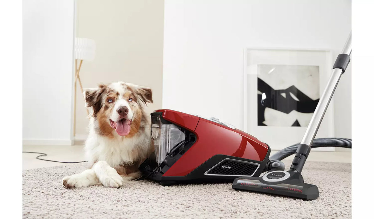 Miele Blizzard CX1 PowerLine Cat & Dog | TTT 12034070