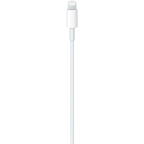 Apple Type C to Lightning 3.2 Feet (1M) Cable | MUQ93ZM/A