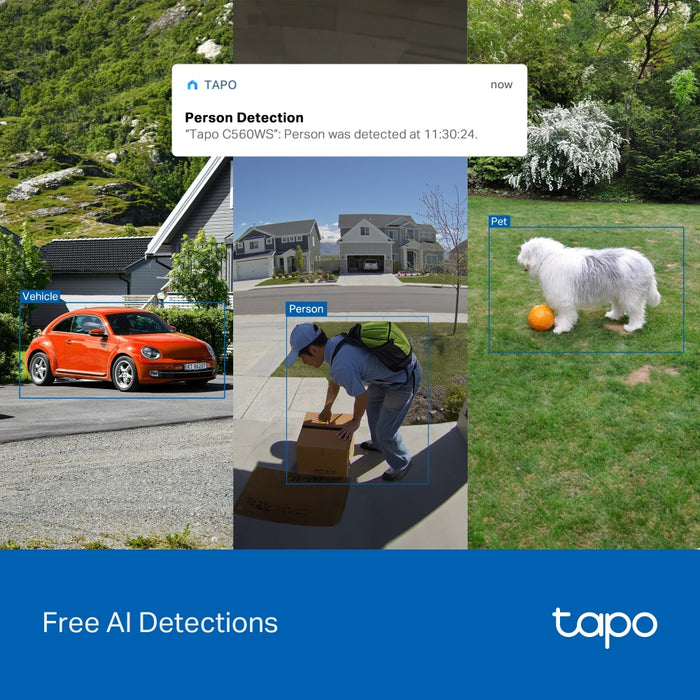 TAPO Outdoor Pan/Tilt Security Wi-Fi Camera | TAPO C560WS