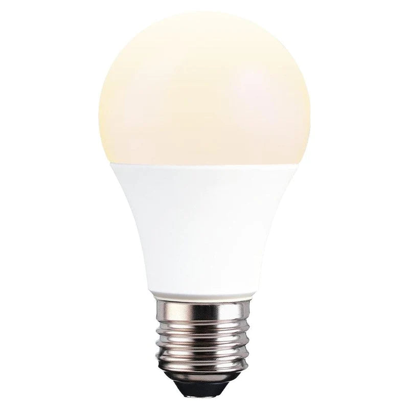 Lighting