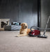 Miele Complete C3 Cat & Dog Tayberry Red Hoover Vacuum | 11085190