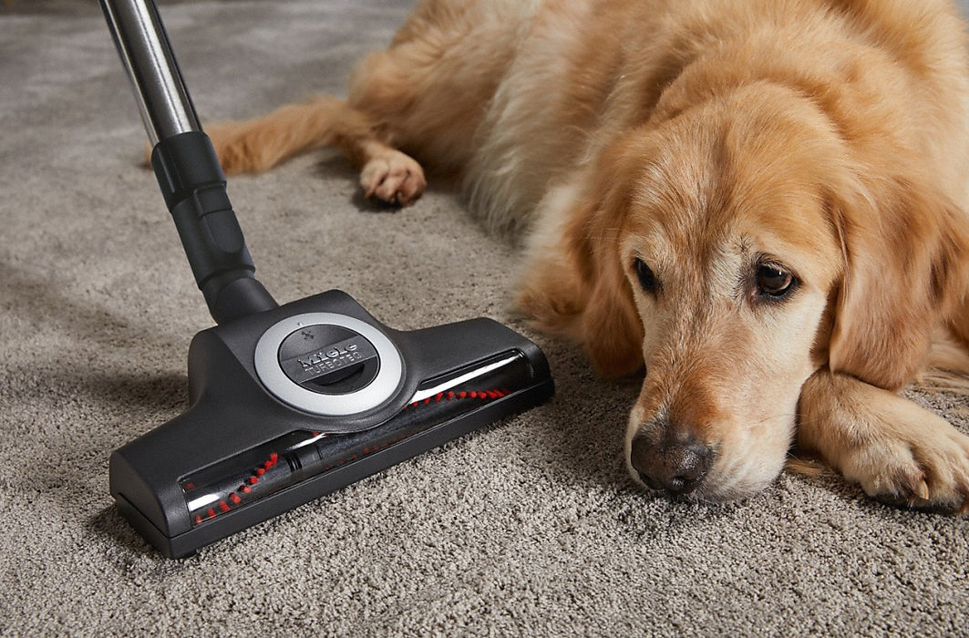 Miele Complete C3 Cat & Dog Tayberry Red Hoover Vacuum | 11085190