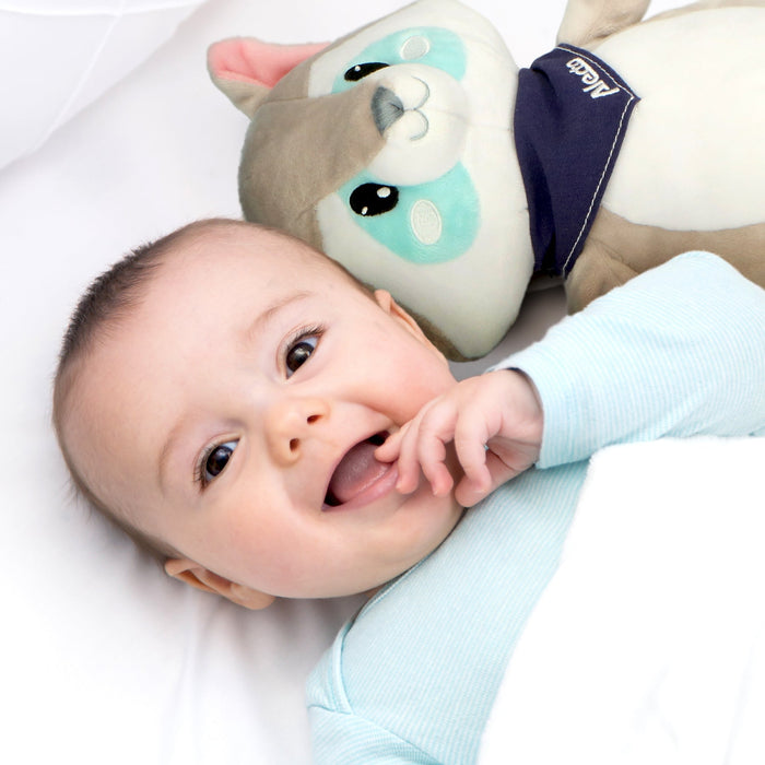 Alecto BC351 Cuddly Raccoon with Soothing Sounds and Night Light Gray-White | EDL A004530