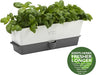 Cole & Mason H105349 Burwell Self-Watering Triple Potted Herb Keeper Pot | EDL H105349
