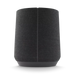 HARMAN KARDON Citation 500 Smart Home Bluetooth Speaker - Black || HKCIT500BLKEU