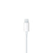 Apple EarPods with Lightning Connector | MMTN2ZM/A