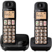 Panasonic KX TGE112 Twin Big Button Cordless Phone | KXTG112T