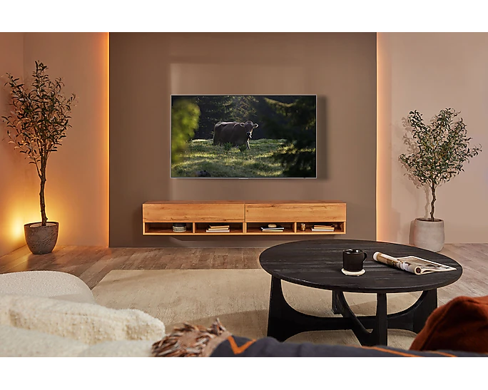 Samsung 55" S95B QD OLED 4K HDR Smart TV (2022) || TTT QE55S95BATXXU